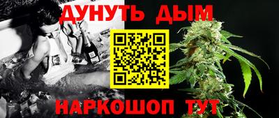 Альфа ПВП Бийск