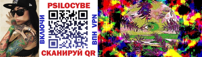 где купить наркоту  Канаш  Галлюциногенные грибы Cubensis 