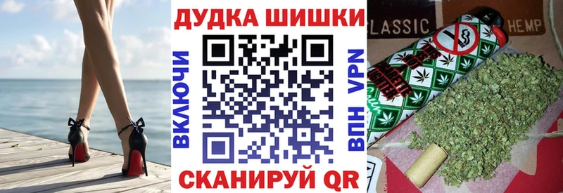 darknet наркотические препараты  Канаш  Шишки марихуана Ganja 