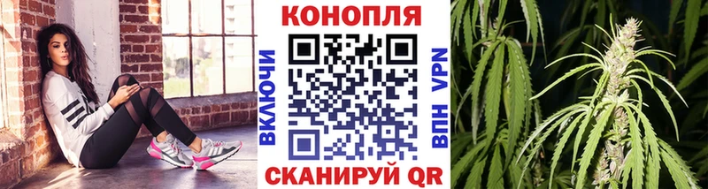Каннабис White Widow Канаш